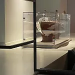 Bnbutler - Citta Alta - Di Charme Apartment